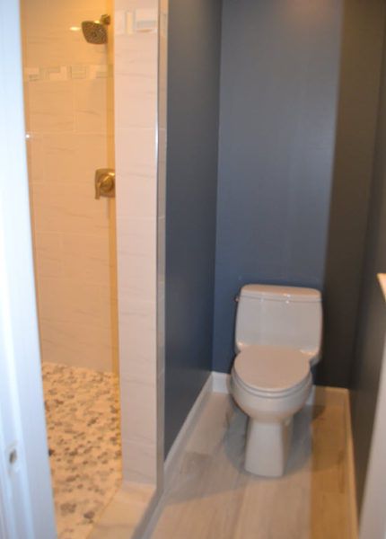 The toilet and entry to shower