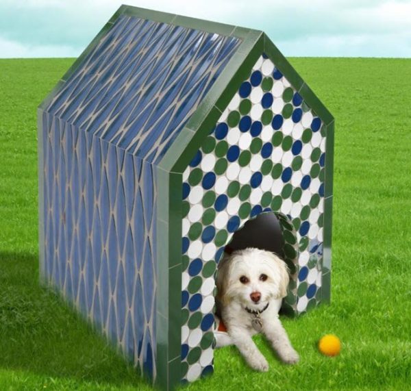 Custom showers and designer crates: welcome to the 'barkitecture