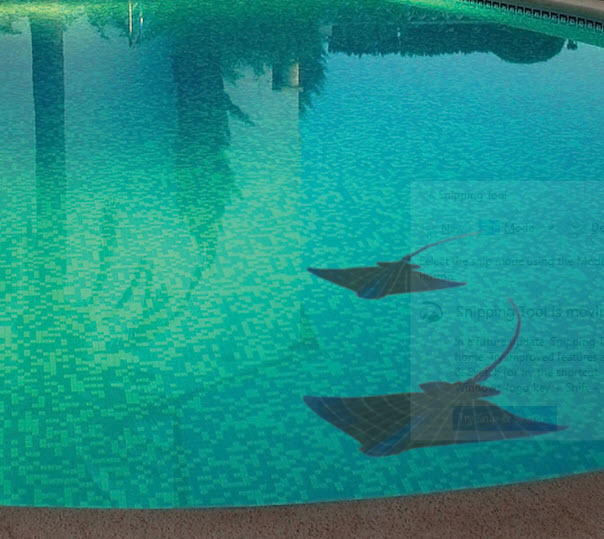 How Pool Mosaics Add to Underwater Enjoyment